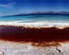 Immagini del Mar Morto